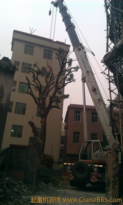 IMAG0016.jpg