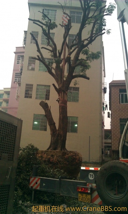 IMAG0017.jpg