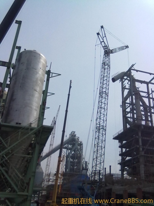 20110311009.jpg