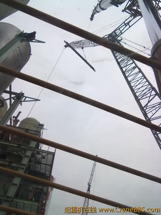20110311011.jpg