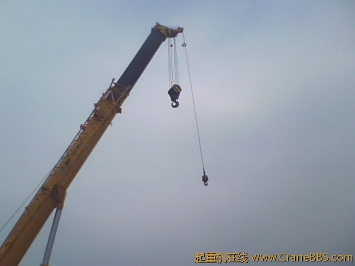 IMG0310A.jpg