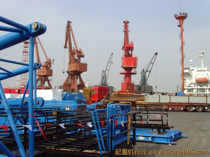 SNV31781.JPG