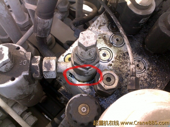 20110419041.jpg