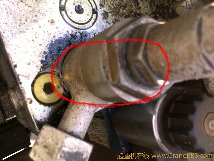 20110419042.jpg