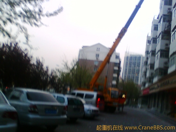 IMG1230A.jpg