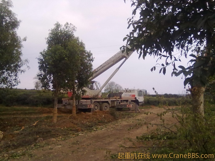 20110421838.jpg