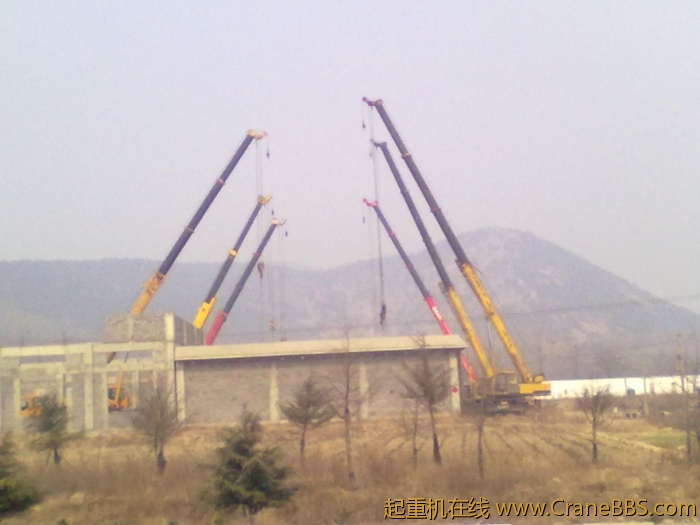 20110224188.jpg