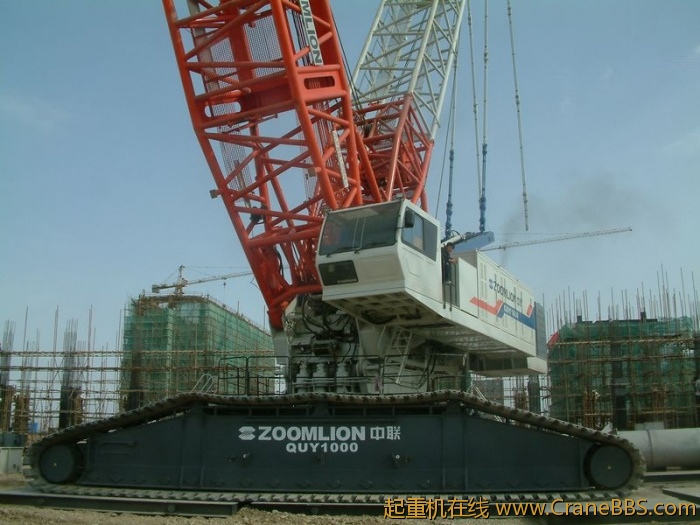 QUY1000_2.jpg