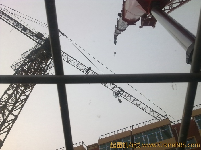 20110421347.jpg