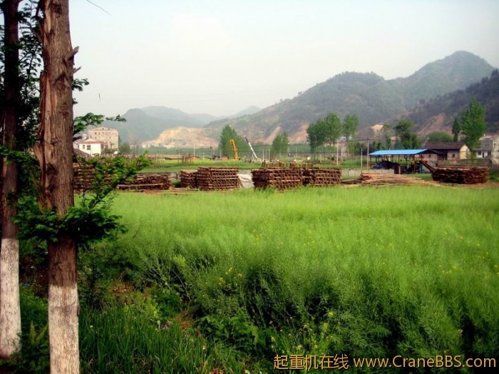 调整大小 IMG_2343.JPG