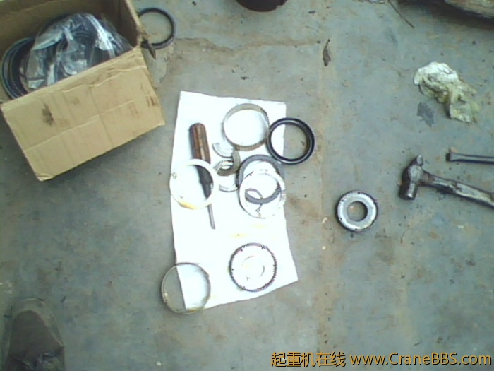 IMG0386A.jpg