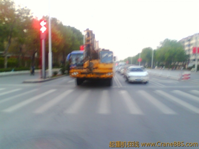 IMG1237A.jpg