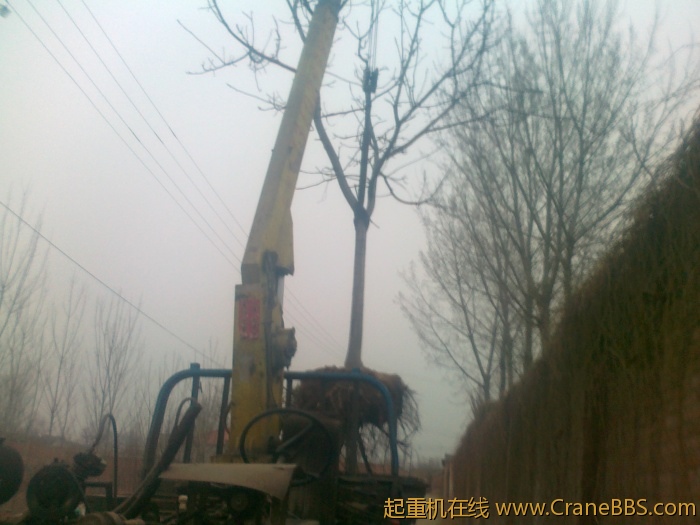 20110320030.jpg