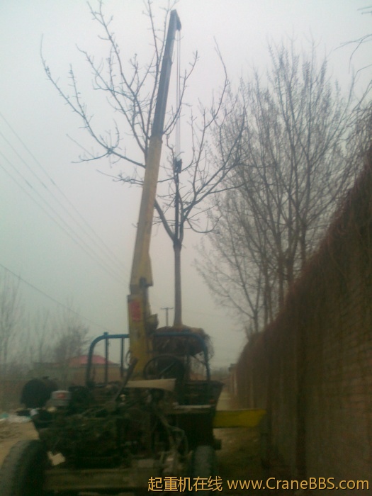20110320032.jpg
