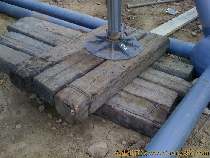 手机照片 1650.jpg