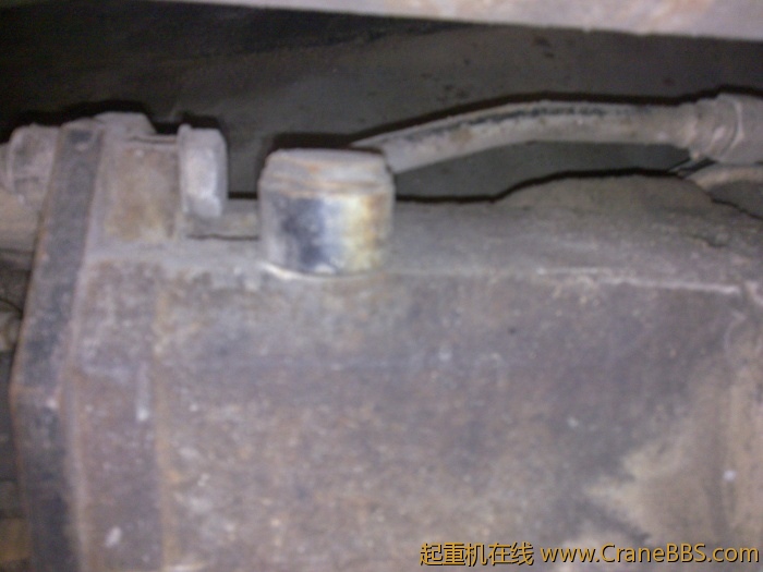 20110429273.jpg