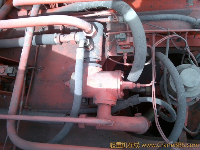 20110429302.jpg