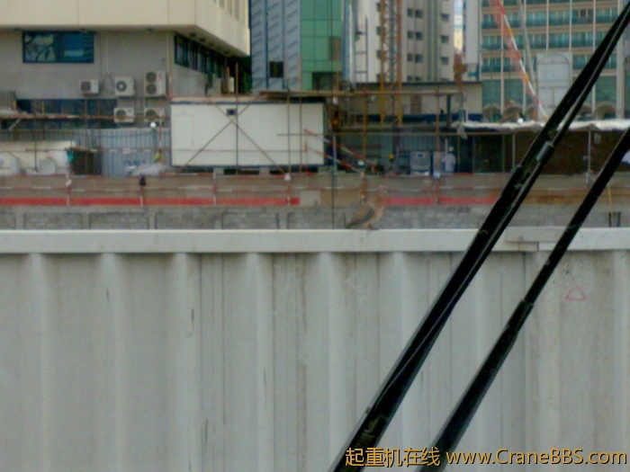 看见小宝贝了吗