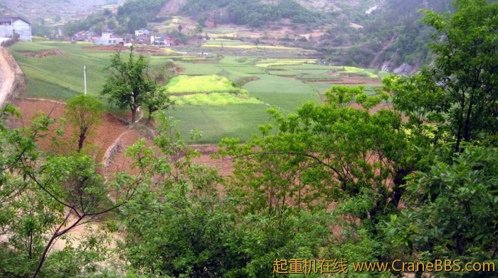 调整大小 IMG_2904.JPG