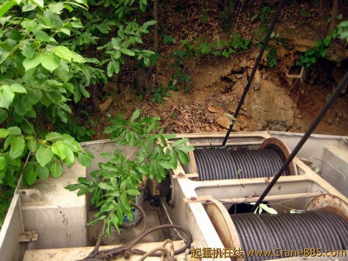 调整大小 IMG_2930.JPG