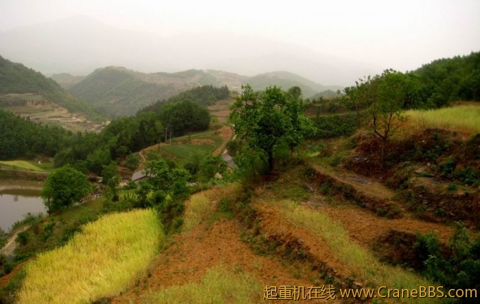 调整大小 IMG_2972.JPG