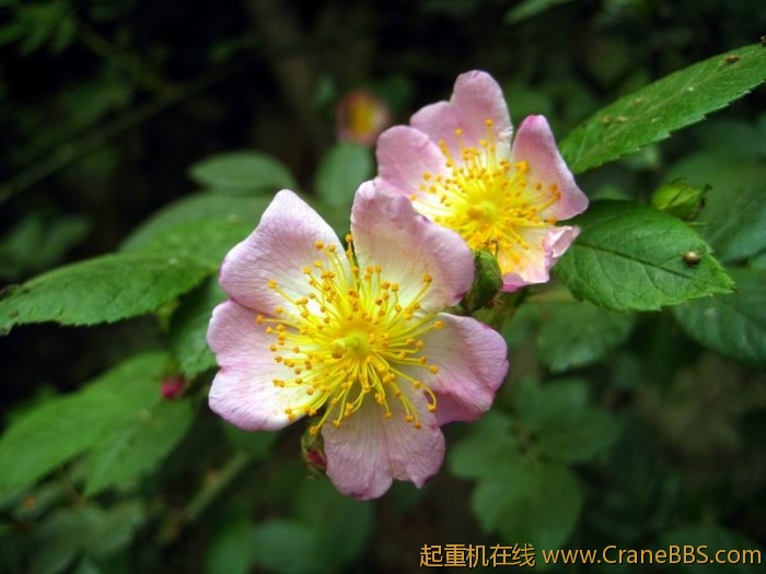 调整大小 IMG_2962.JPG