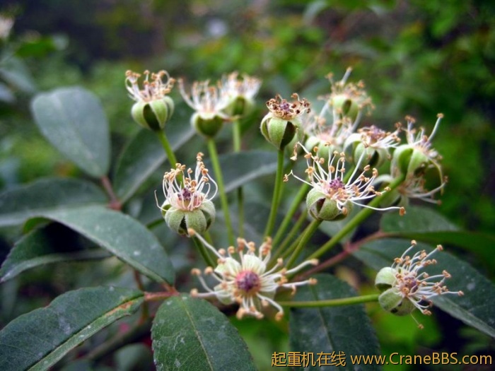 调整大小 IMG_3001.JPG