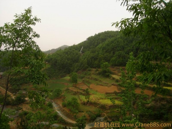 调整大小 IMG_2978.JPG