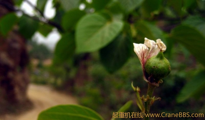 调整大小 IMG_2982.JPG