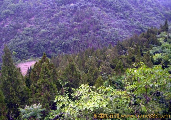 调整大小 IMG_3008.JPG