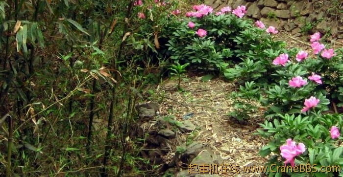 调整大小 IMG_3026.JPG