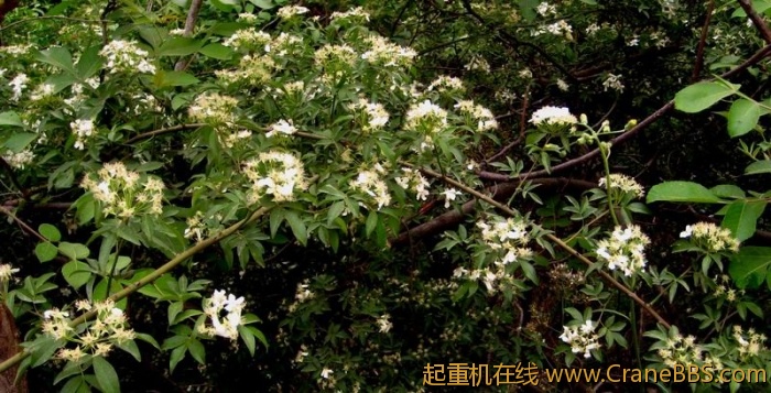 调整大小 IMG_3012.JPG