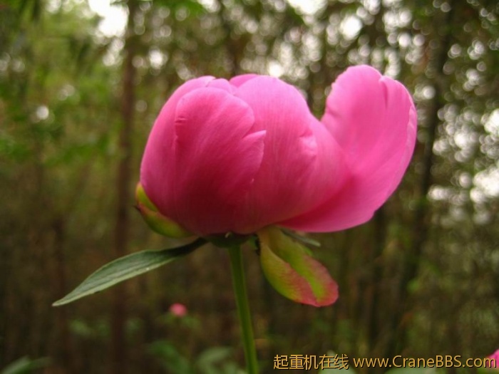 调整大小 IMG_3019.JPG