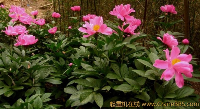 调整大小 IMG_3022.JPG