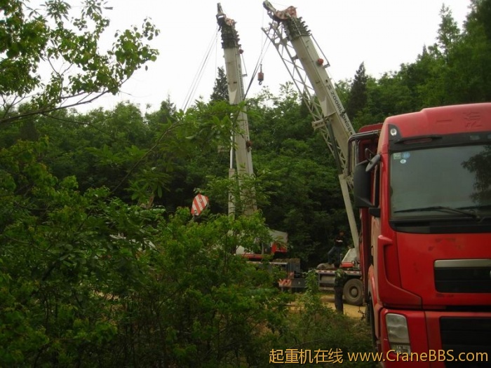 调整大小 IMG_3039.JPG