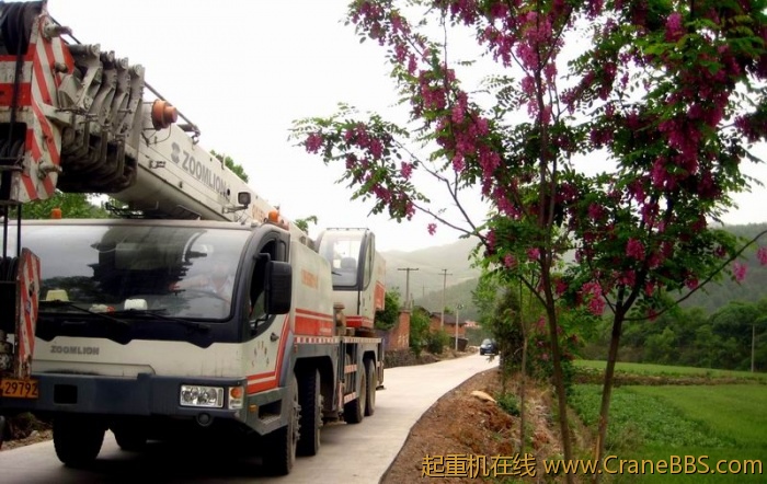 调整大小 IMG_3088.JPG