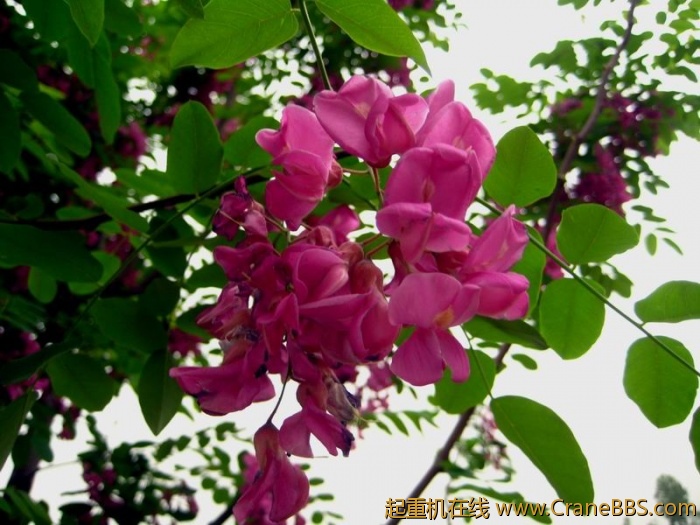 调整大小 IMG_3089.JPG