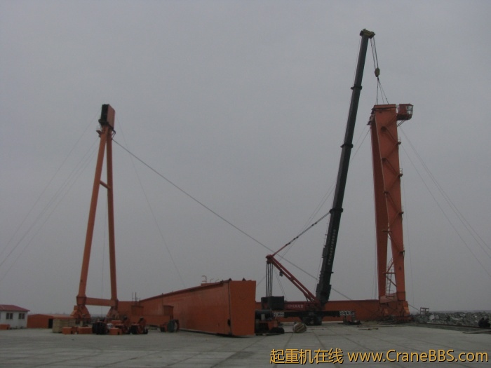 牛年大吉 019.jpg