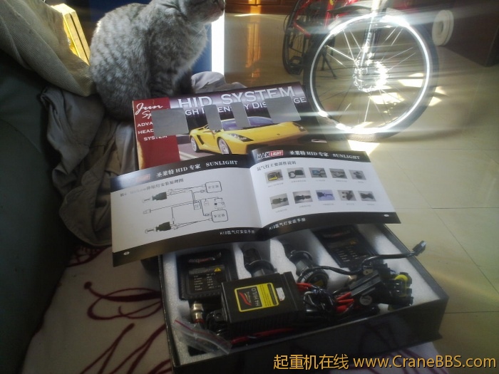 201012262061.jpg