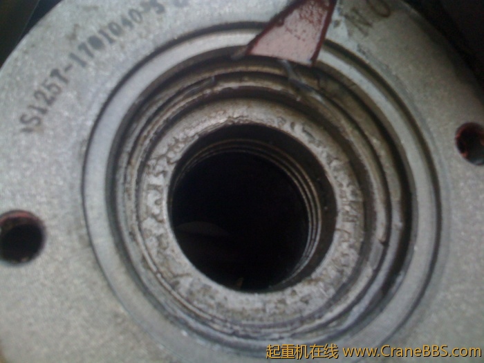 手机照片 1774.jpg