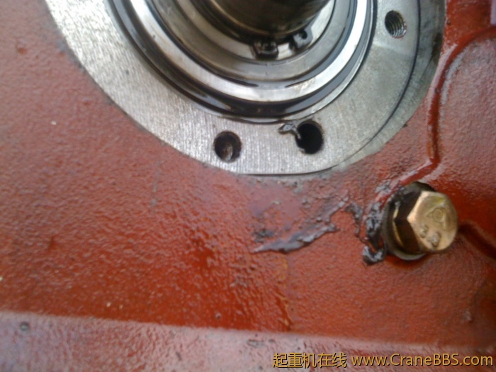 手机照片 1782.jpg