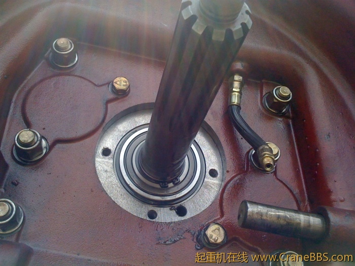 手机照片 1784.jpg