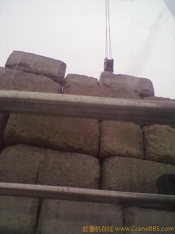 20110228025.jpg