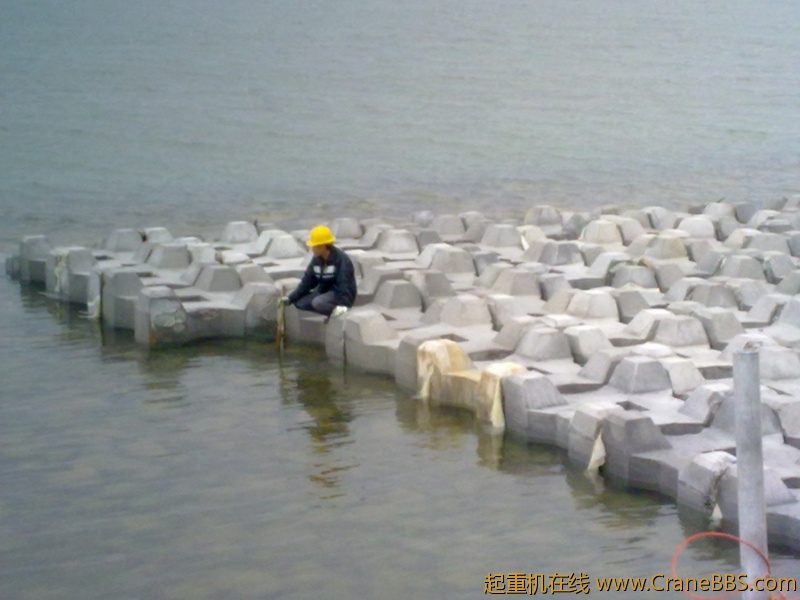 20110305592.jpg