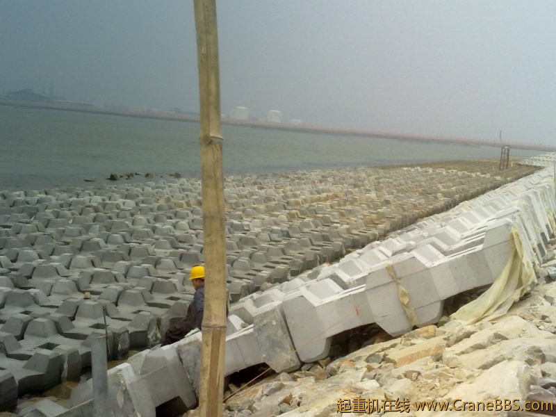 20110305593.jpg