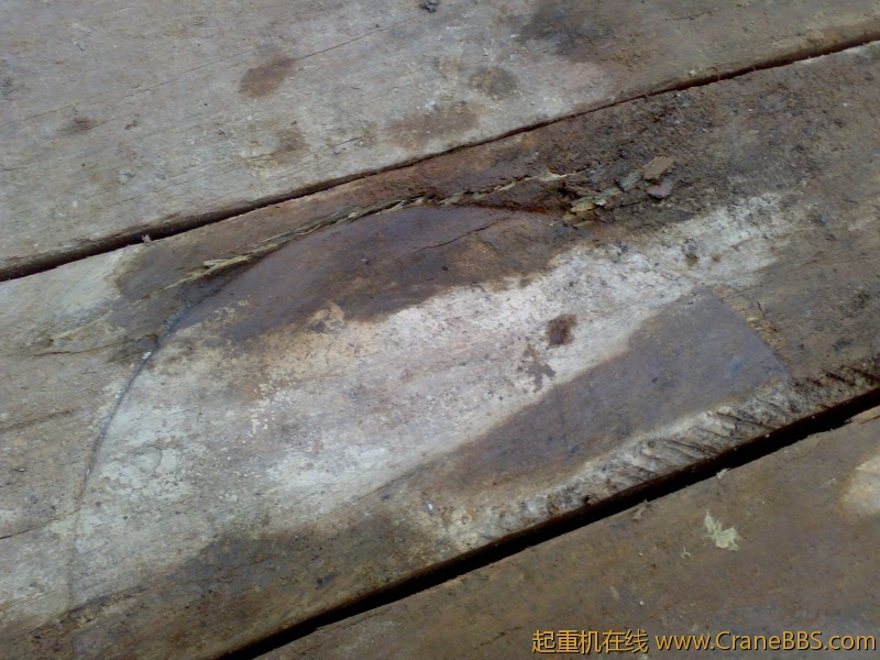20110306869.jpg
