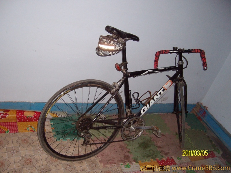 ALIM1047.JPG