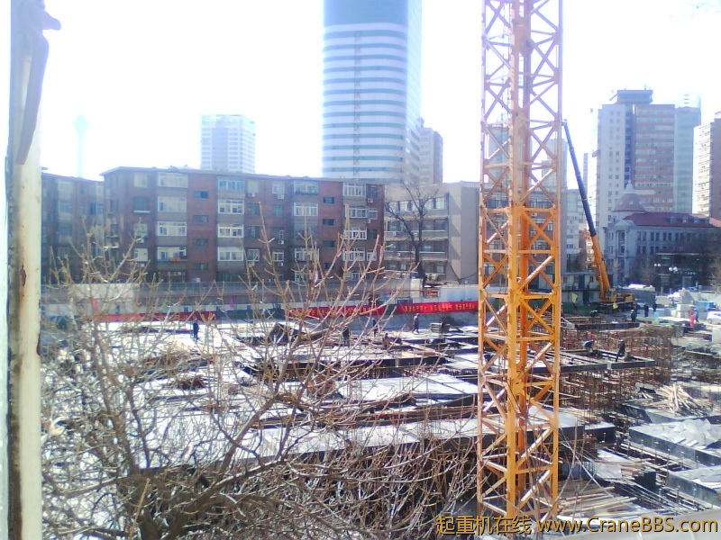 IMG1166A.jpg