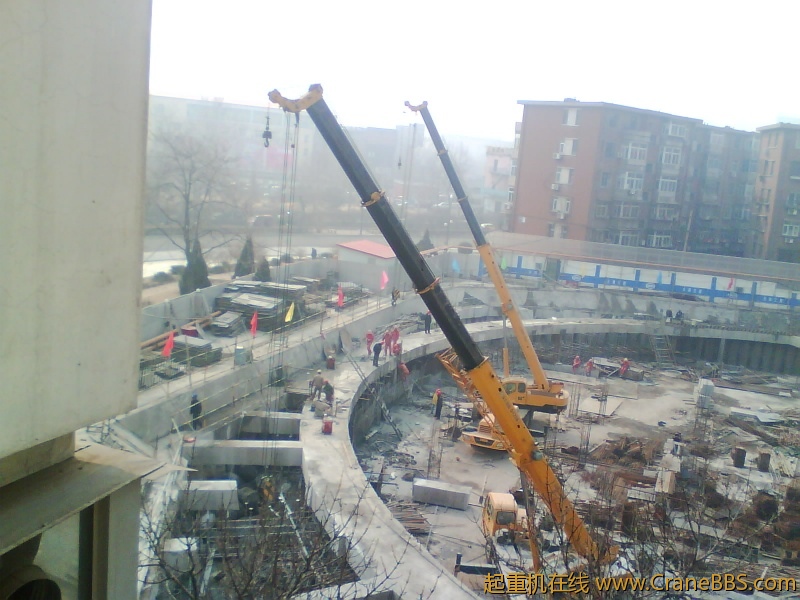 IMG1150A.jpg