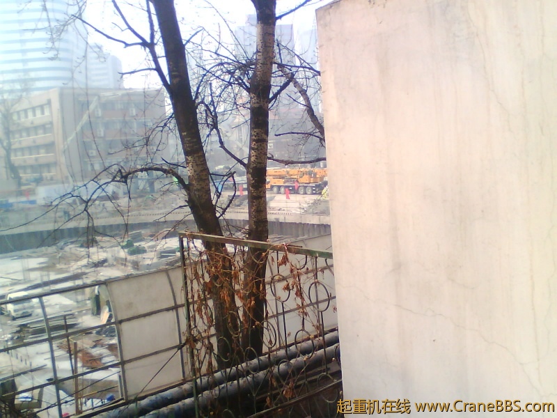 IMG1158A.jpg